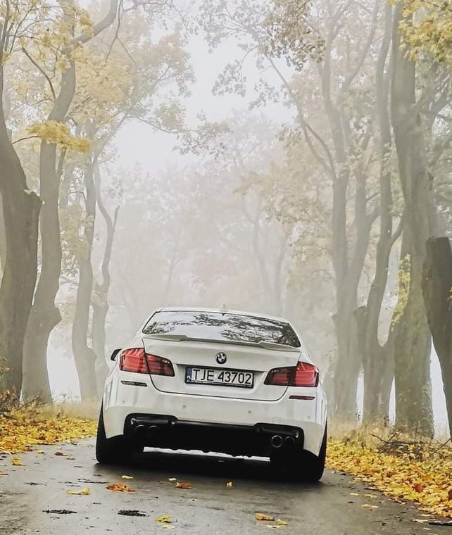 BMW F10